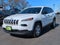 2017 Jeep Cherokee Sport FWD