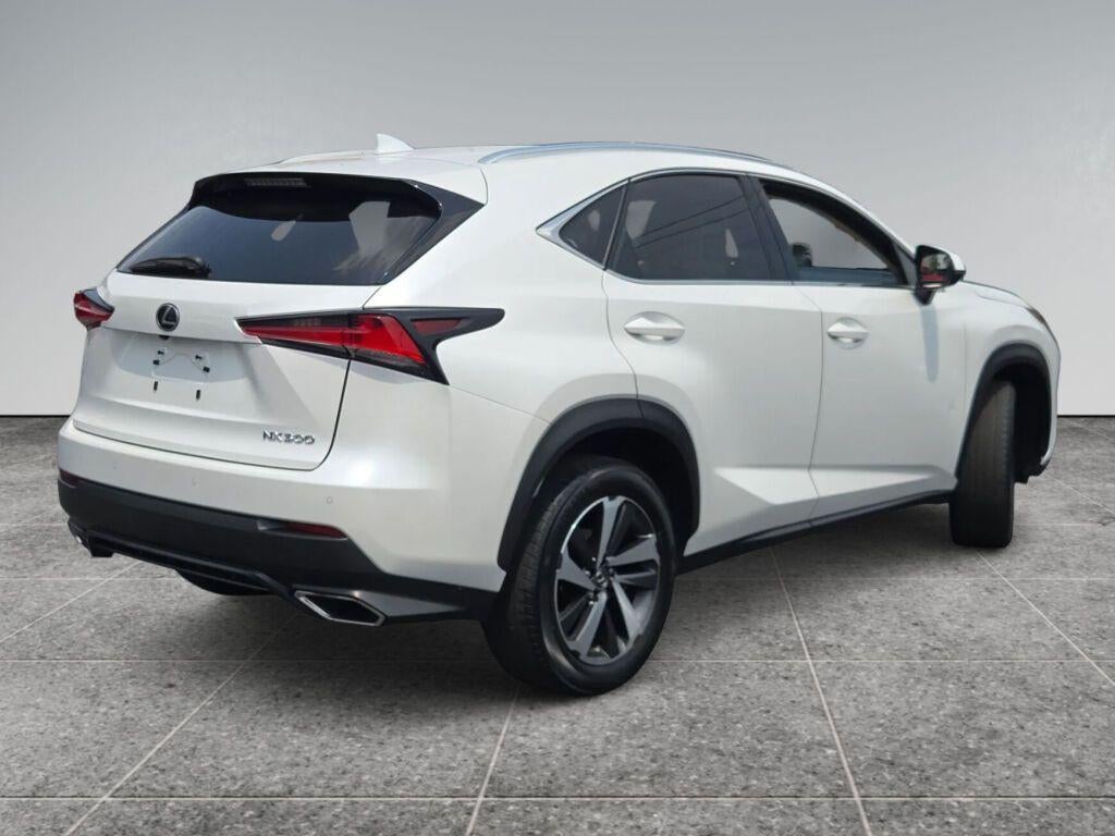 2018 Lexus NX 300 
