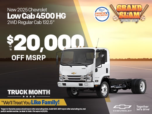 New 2025 Chevy Low Cab 4500 HG 2WD Regular Cab 132.5